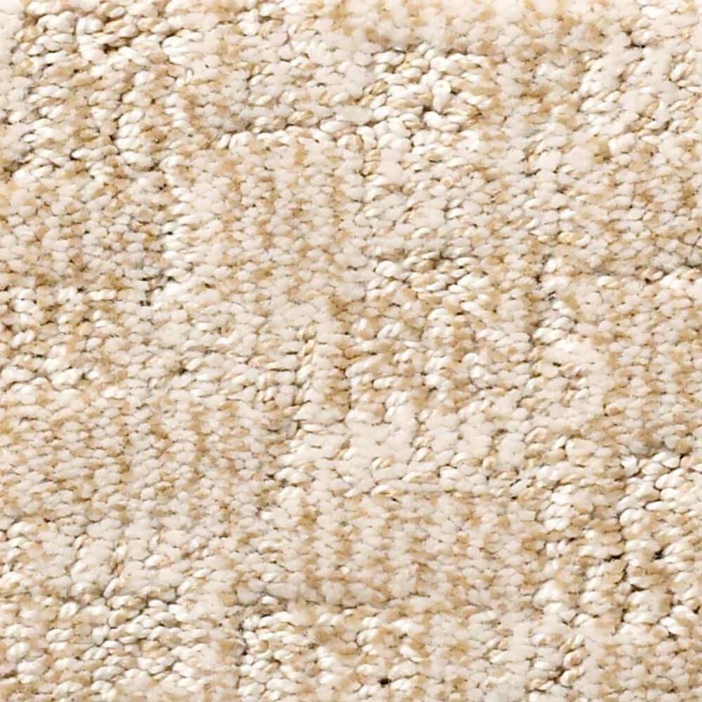Anderson Tuftex Paw-Tay Carpet in Old Country