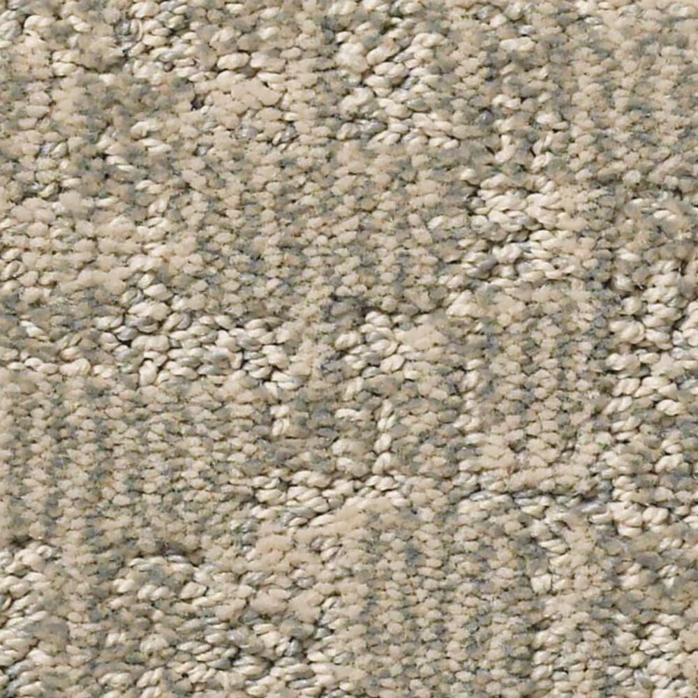 Anderson Tuftex Paw-Tay Carpet in Cloud Cover