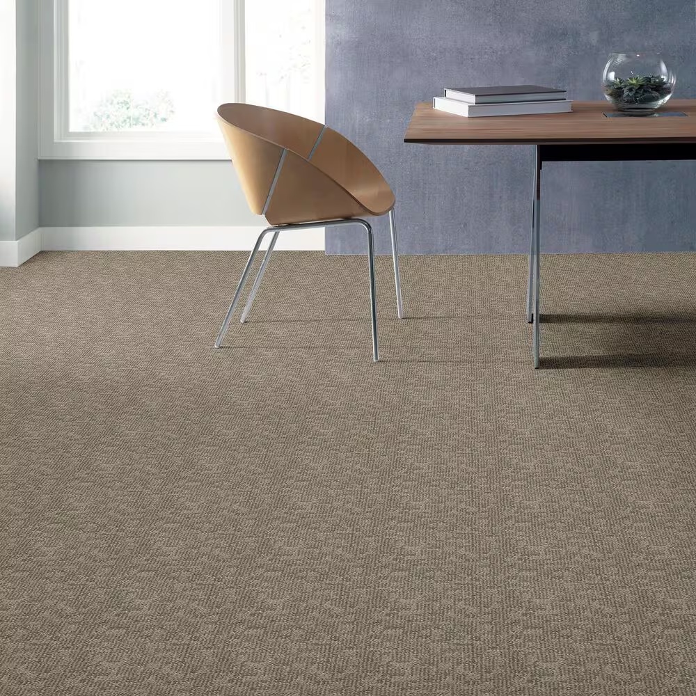 46388-anderson-tuftex-paw-tay-carpet-in-cloud-cover-1.jpg