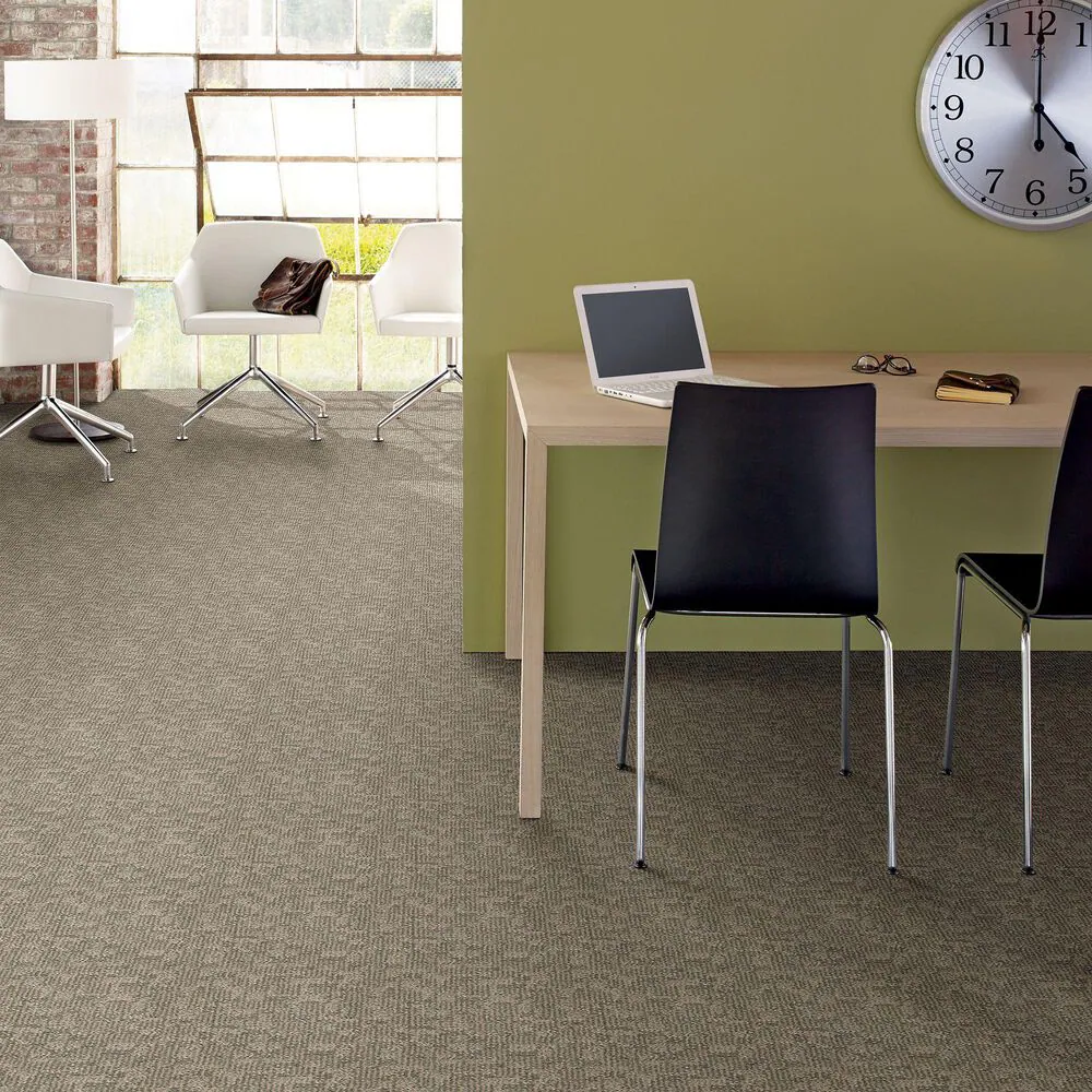 46388-anderson-tuftex-paw-tay-carpet-in-cloud-cover-1.jpg