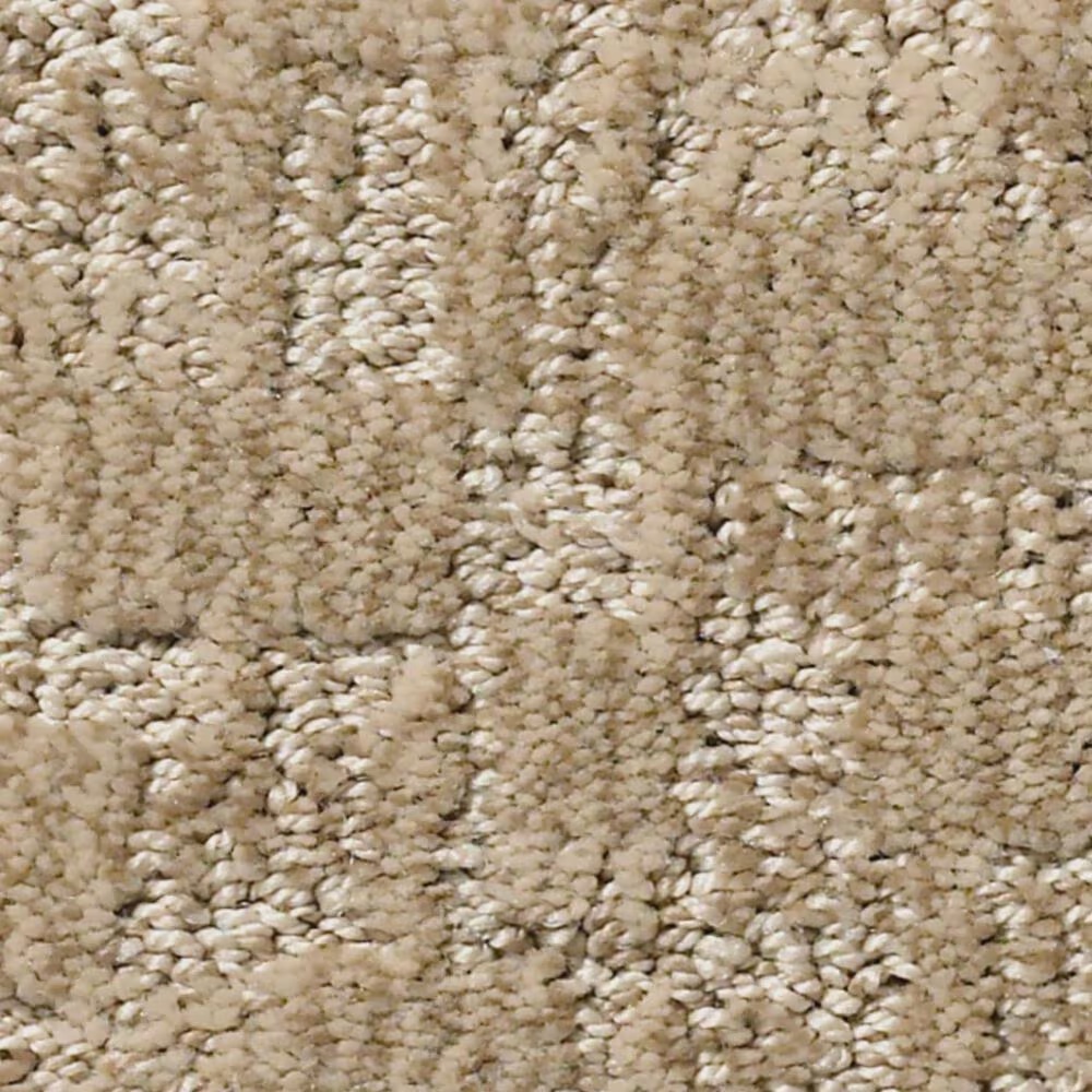 Anderson Tuftex Paw-Tay Carpet in Mystic