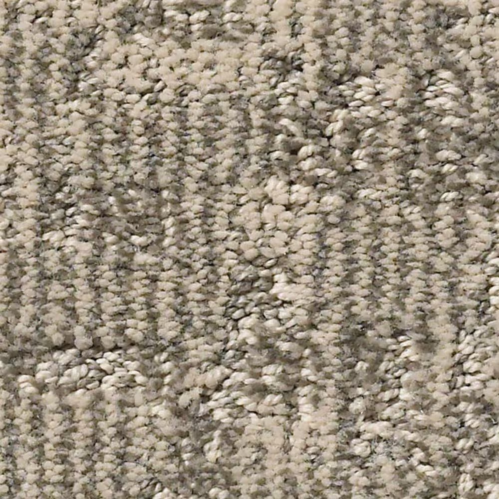Anderson Tuftex Paw-Tay Carpet in Danville