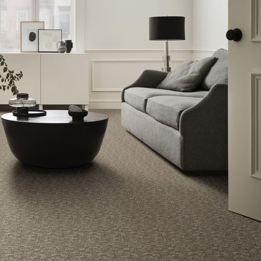 46390-anderson-tuftex-paw-tay-carpet-in-danville-1.jpg