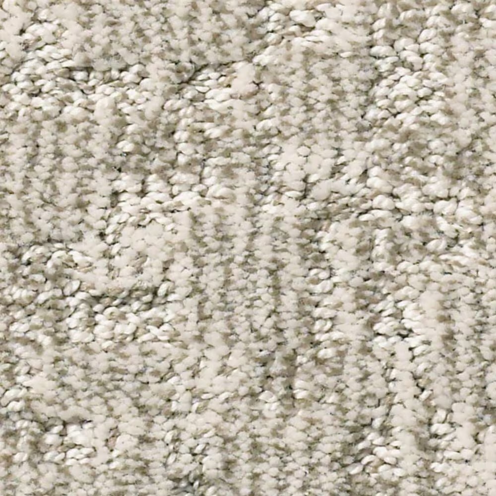 Anderson Tuftex Paw-Tay Carpet in Birch