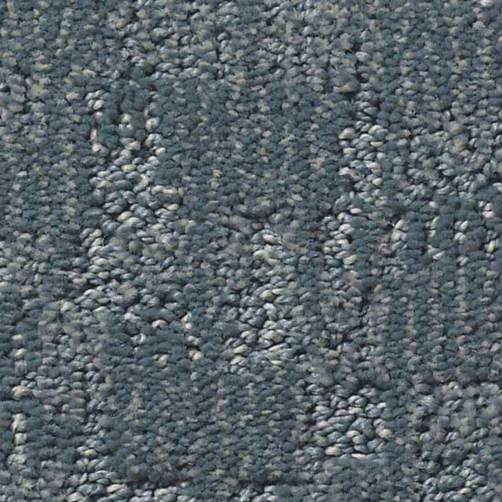 Anderson Tuftex Paw-Tay Carpet in Waterbury