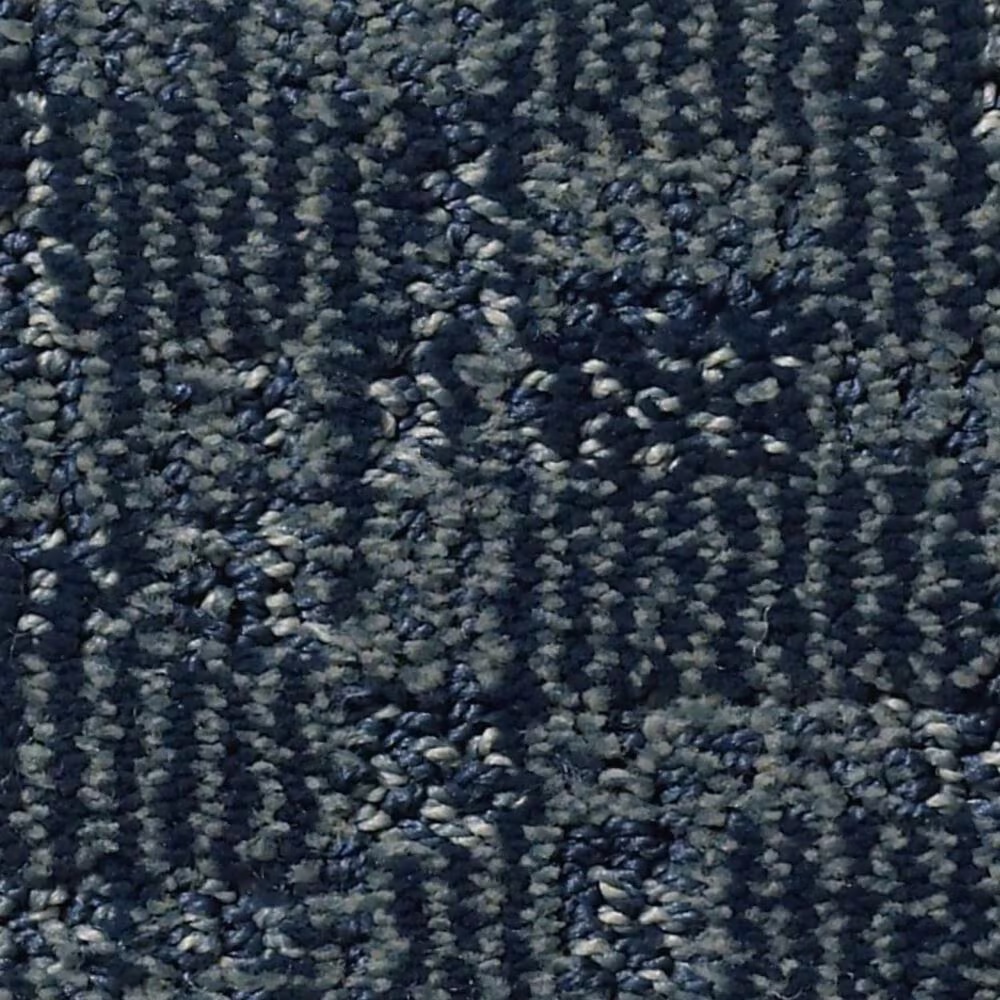 Anderson Tuftex Paw-Tay Carpet in Hale Navy
