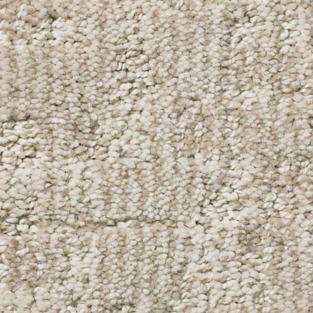 Anderson Tuftex Paw-Tay Carpet in Cedar
