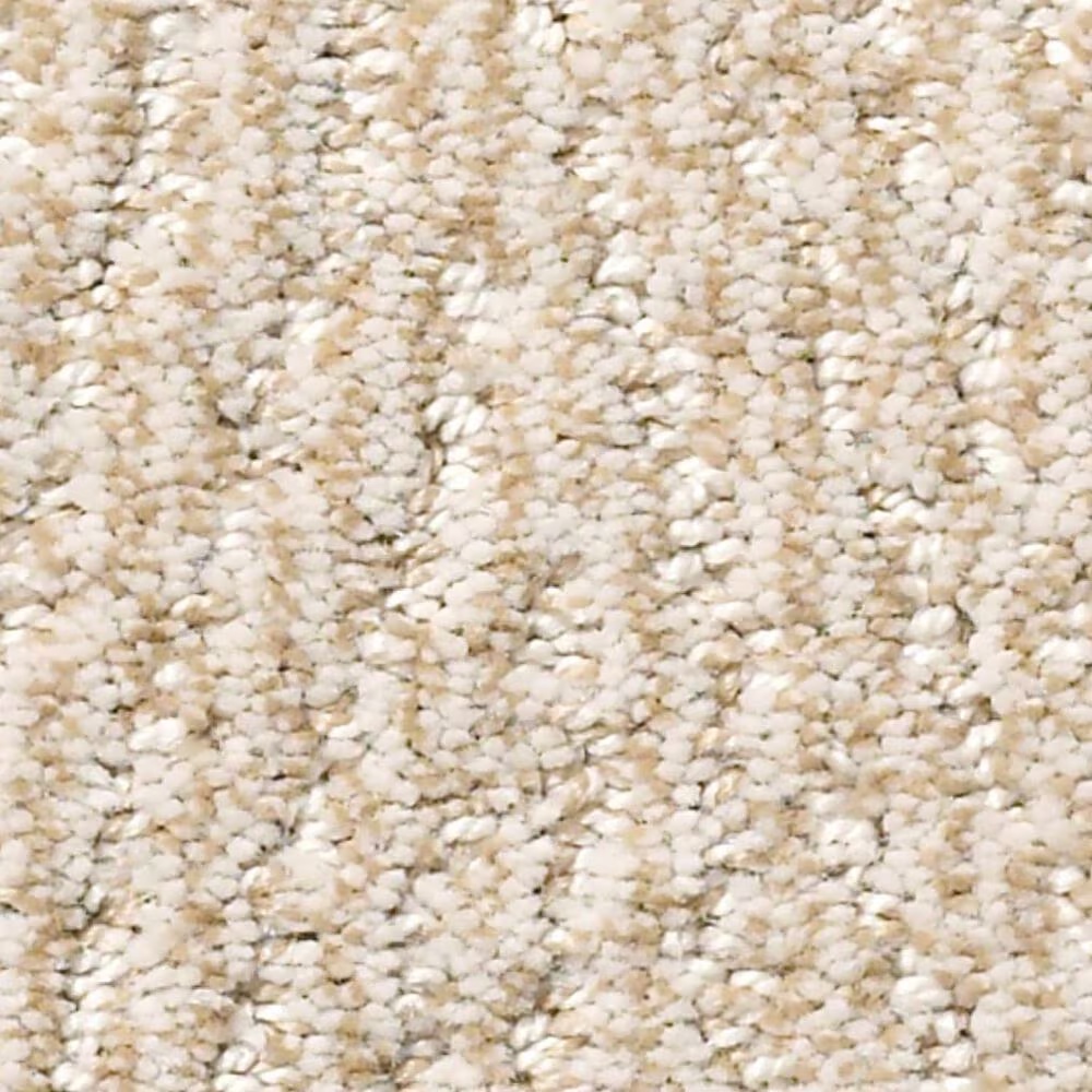 Anderson Tuftex Fur-Ever Carpet in Old Country