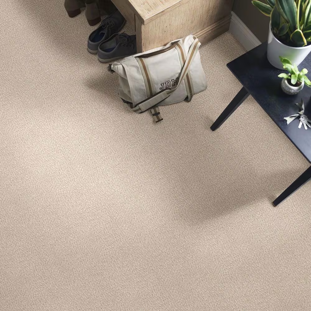 46414-anderson-tuftex-fur-ever-carpet-in-old-country-1.jpg