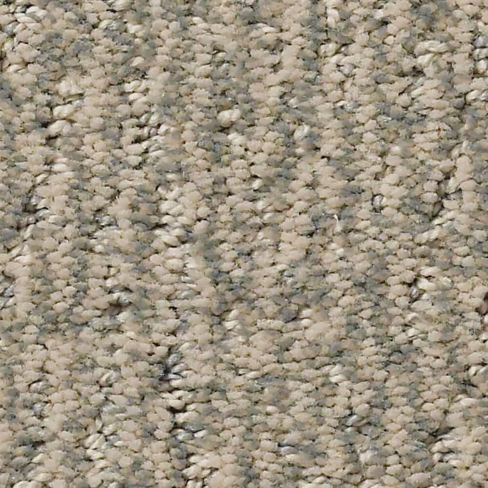 Anderson Tuftex Fur-Ever Carpet in Cloud Cover