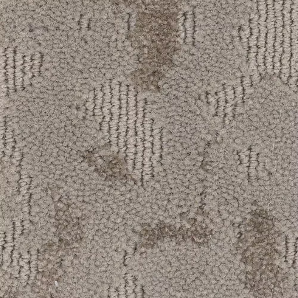 Anderson Tuftex Ming Carpet in Shady