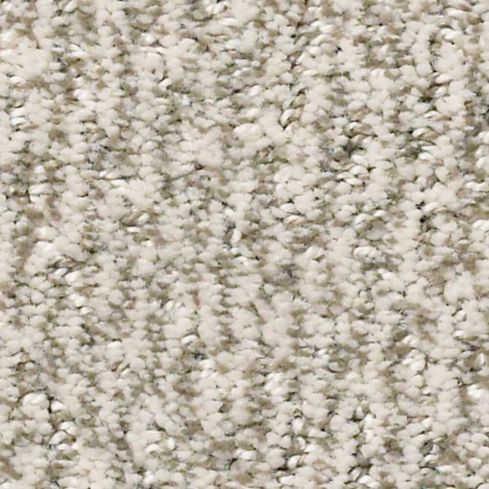 Anderson Tuftex Fur-Ever Carpet in Birch