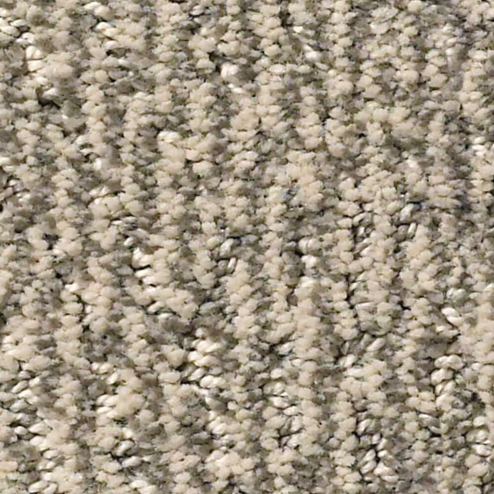 Anderson Tuftex Fur-Ever Carpet in Danville