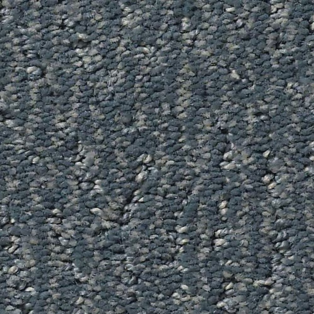 Anderson Tuftex Fur-Ever Carpet in Waterbury