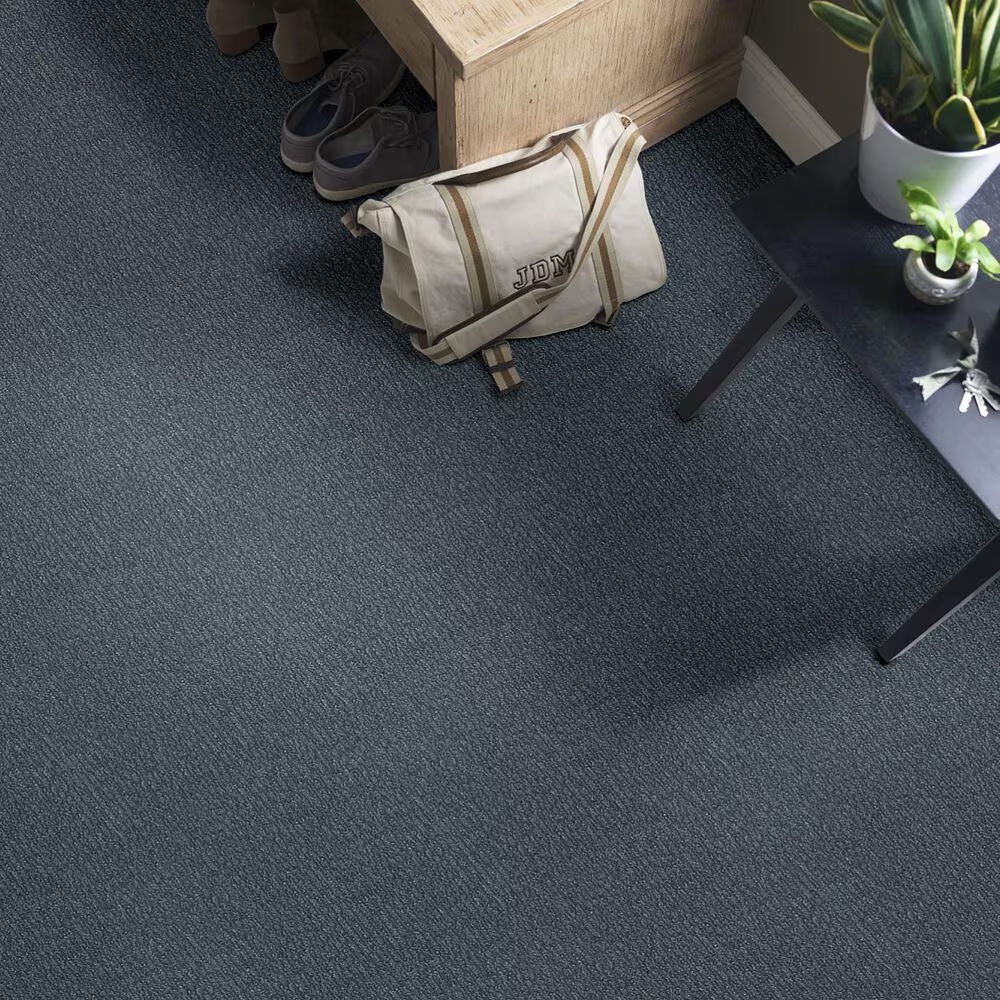46495-anderson-tuftex-fur-ever-carpet-in-waterbury-1.jpg