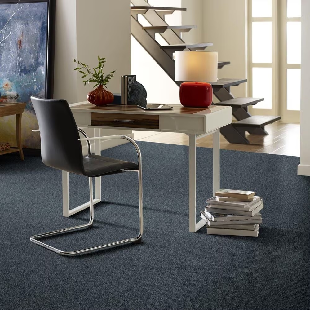 46495-anderson-tuftex-fur-ever-carpet-in-waterbury-1.jpg
