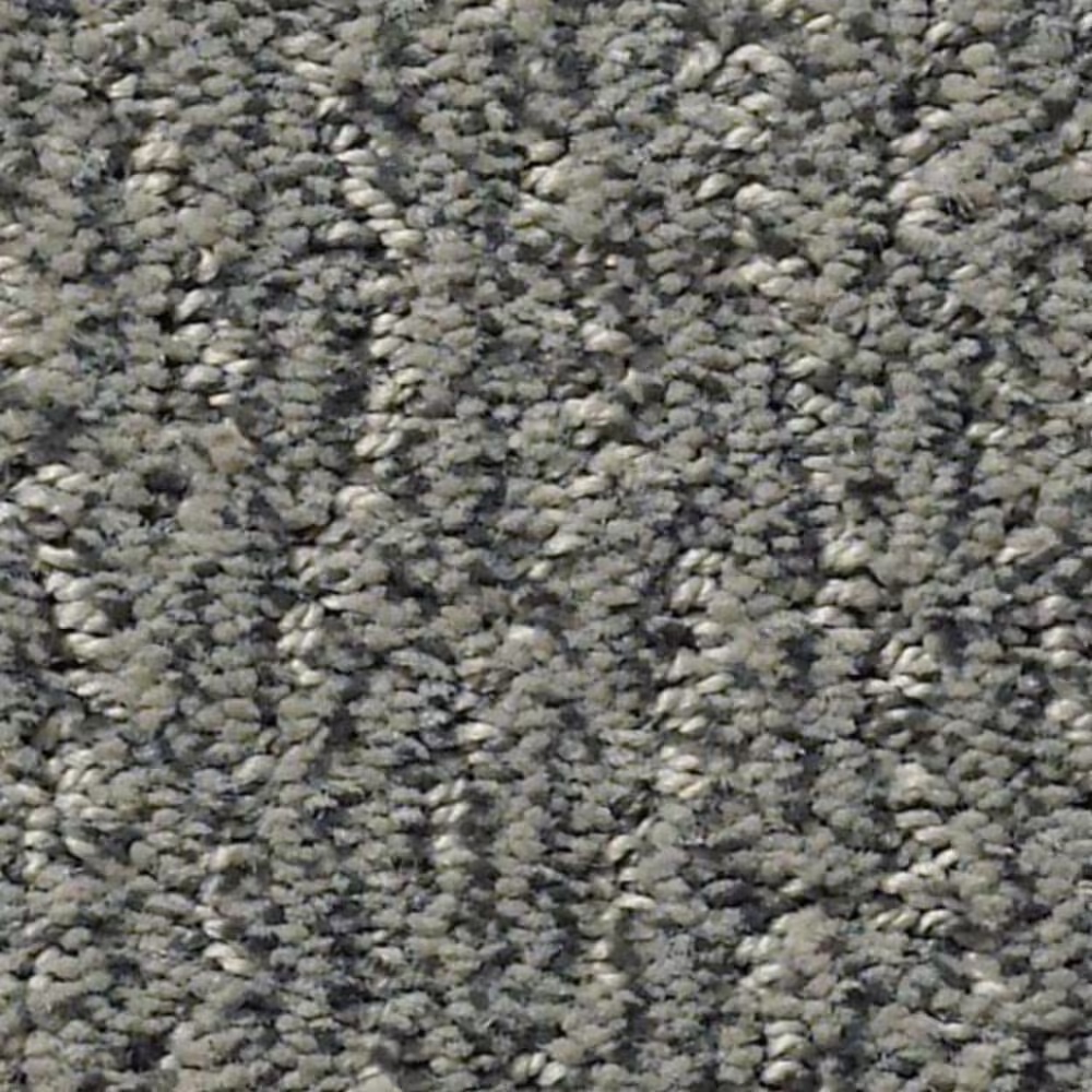 Anderson Tuftex Fur-Ever Carpet in Kendall