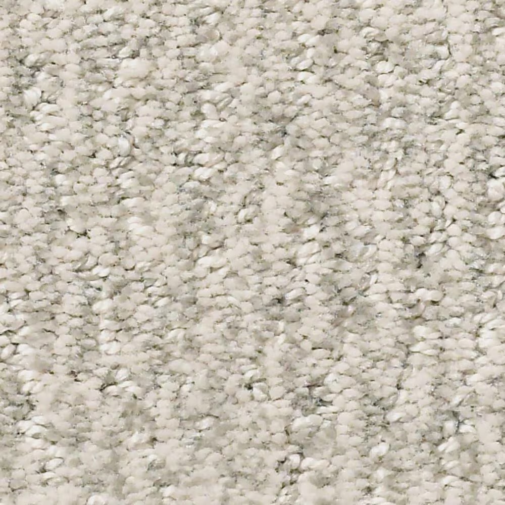 Anderson Tuftex Fur-Ever Carpet in Bennington