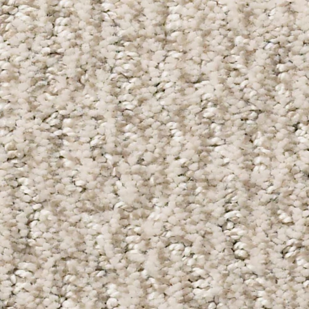 Anderson Tuftex Fur-Ever Carpet in Cedar
