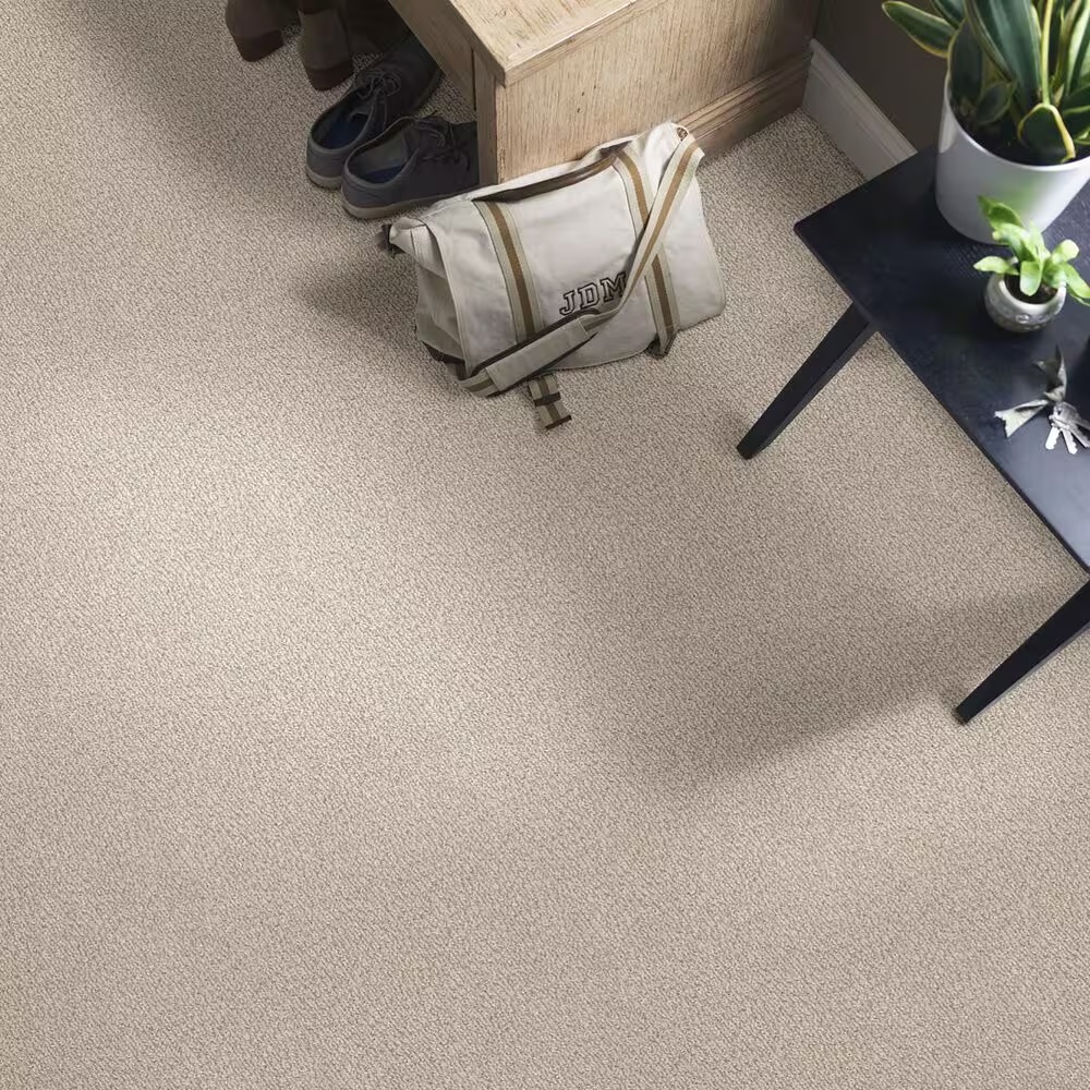 46534-anderson-tuftex-fur-ever-carpet-in-cedar-1.jpg