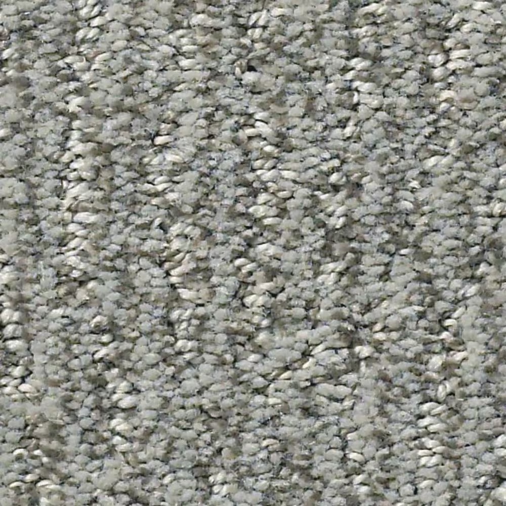 Anderson Tuftex Fur-Ever Carpet in Avon