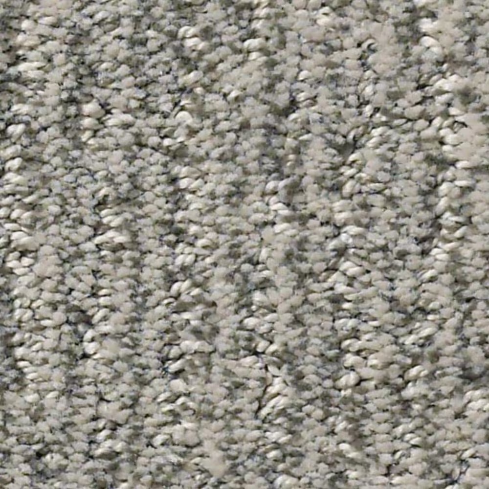 Anderson Tuftex Fur-Ever Carpet in Rockport