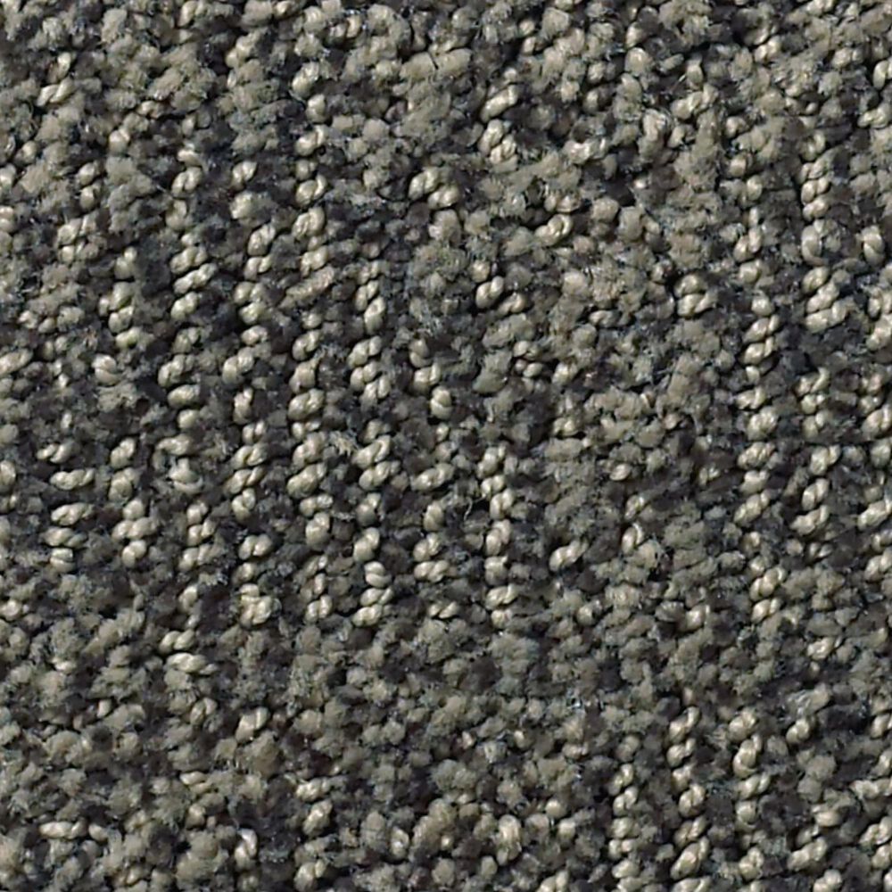 Anderson Tuftex Luna Carpet in Gunmetal