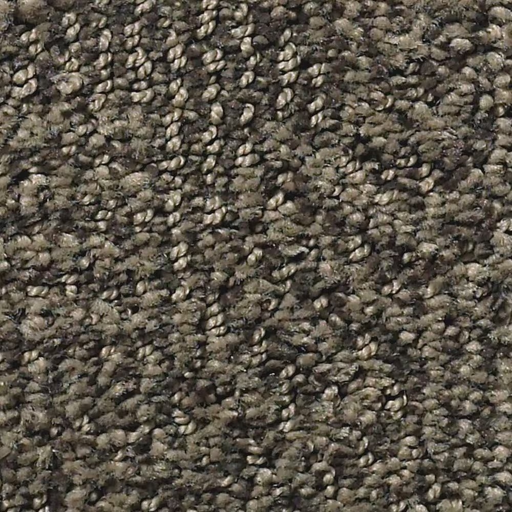Anderson Tuftex Luna Carpet in Apparition