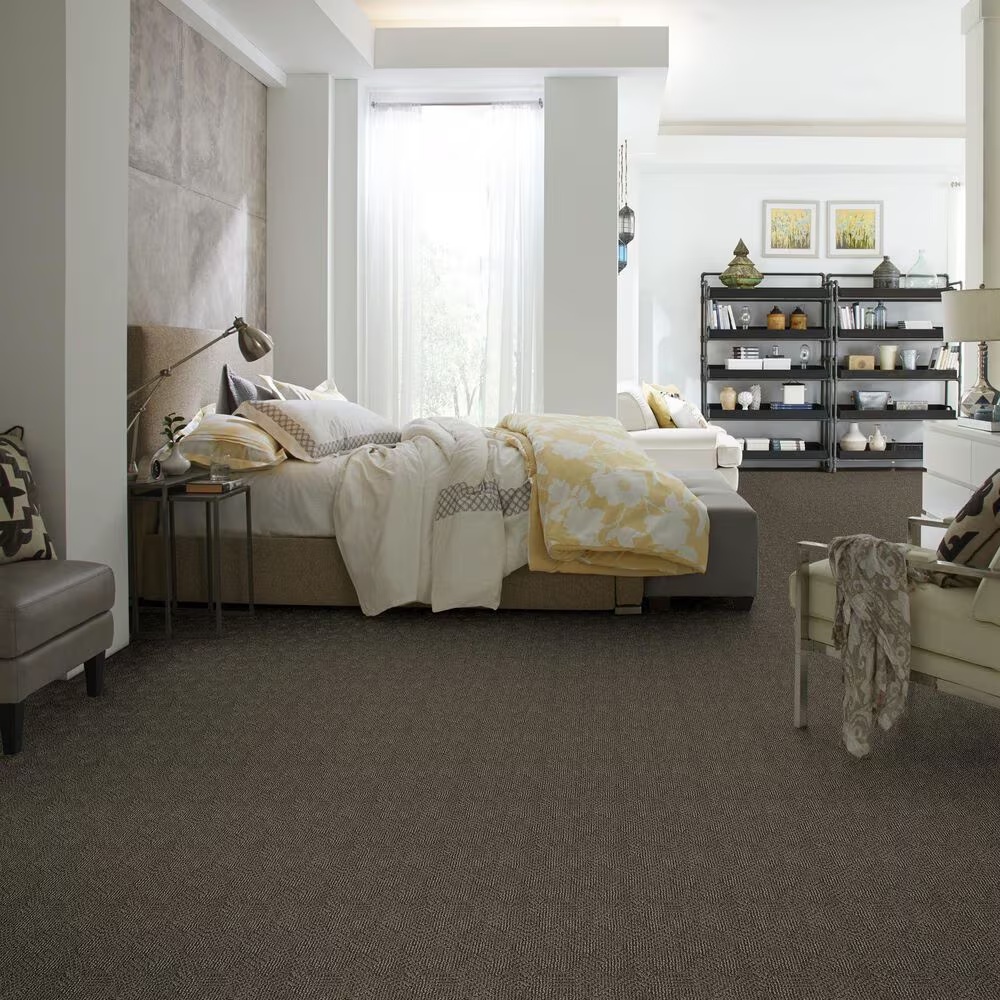 46582-anderson-tuftex-luna-carpet-in-apparition-1.jpg