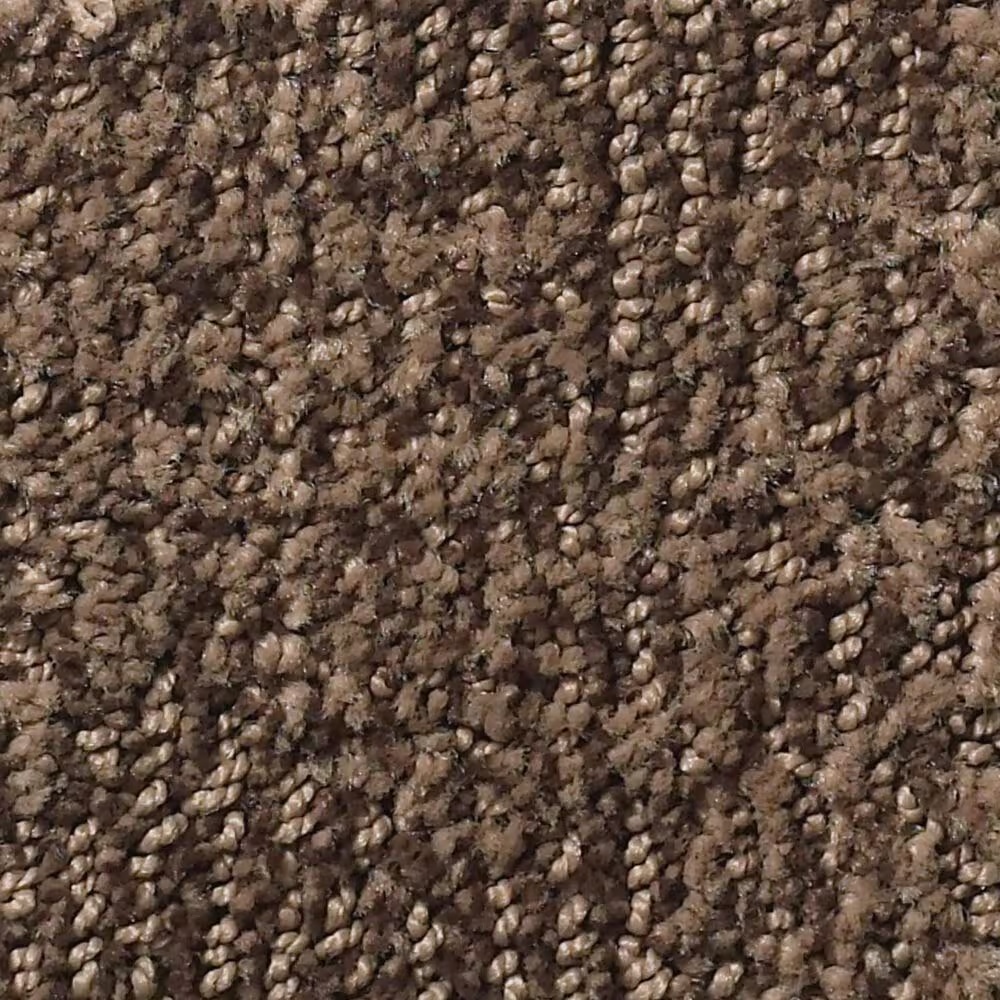 Anderson Tuftex Luna Carpet in Fallen Timber