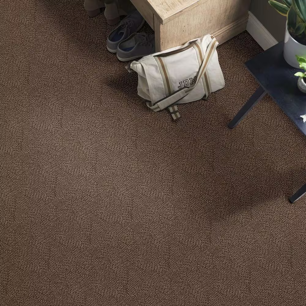 46584-anderson-tuftex-luna-carpet-in-fallen-timber-1.jpg