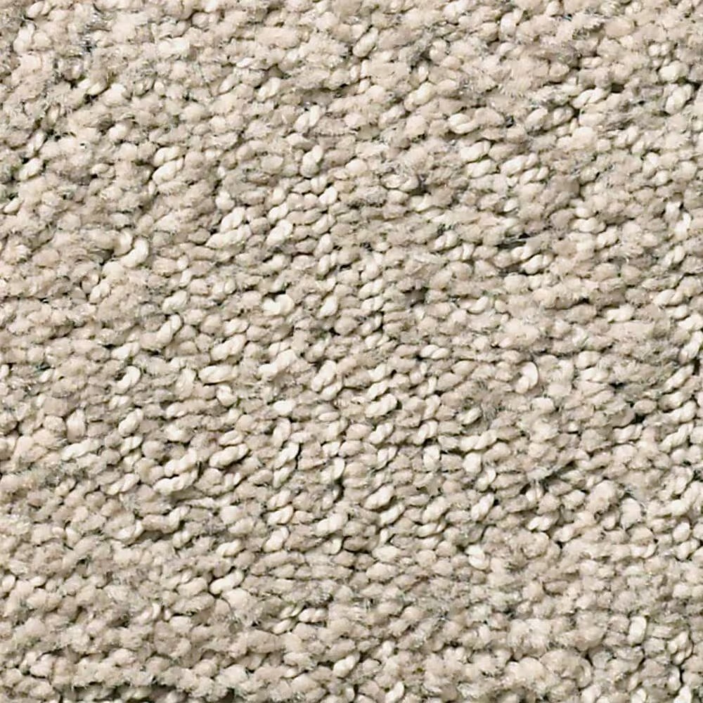 Anderson Tuftex Luna Carpet in Cocoa Sand