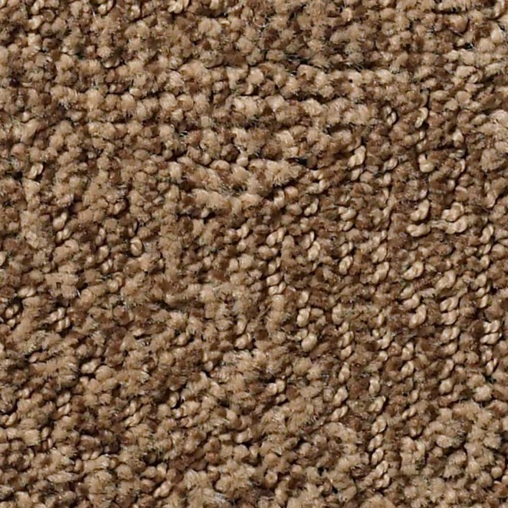 Anderson Tuftex Luna Carpet in Desert Beach