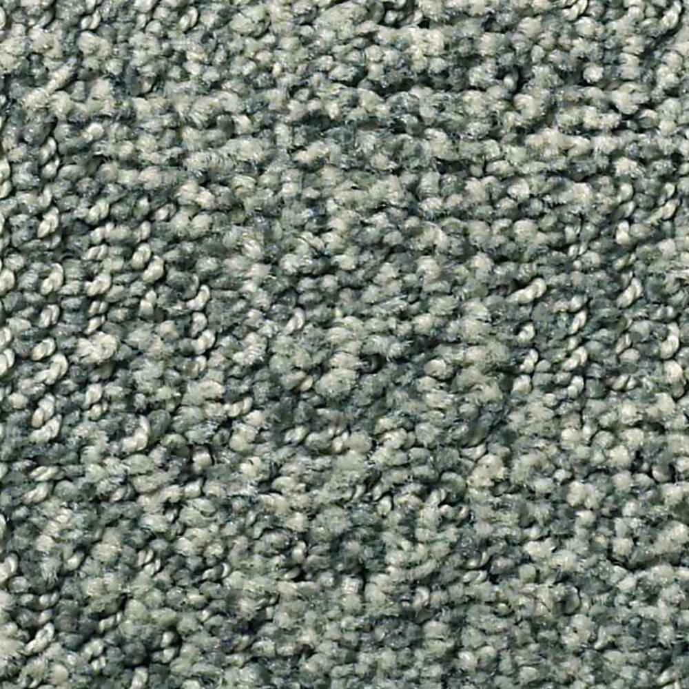 Anderson Tuftex Luna Carpet in Scenic Drive