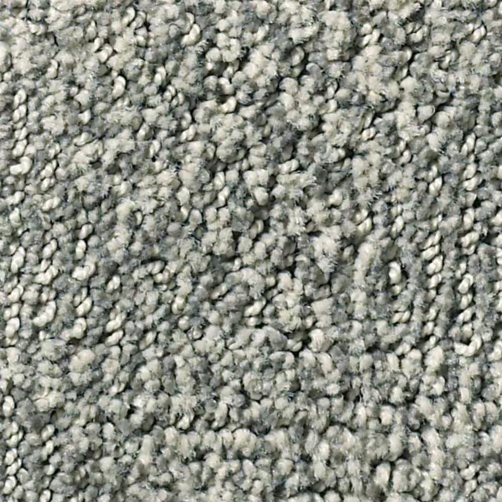 Anderson Tuftex Luna Carpet in Swept Away