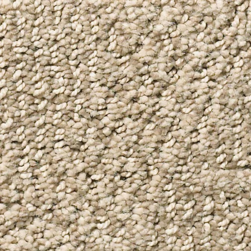 Anderson Tuftex Luna Carpet in Coastal Home