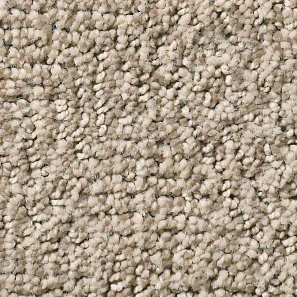Anderson Tuftex Luna Carpet in Adobe Beige