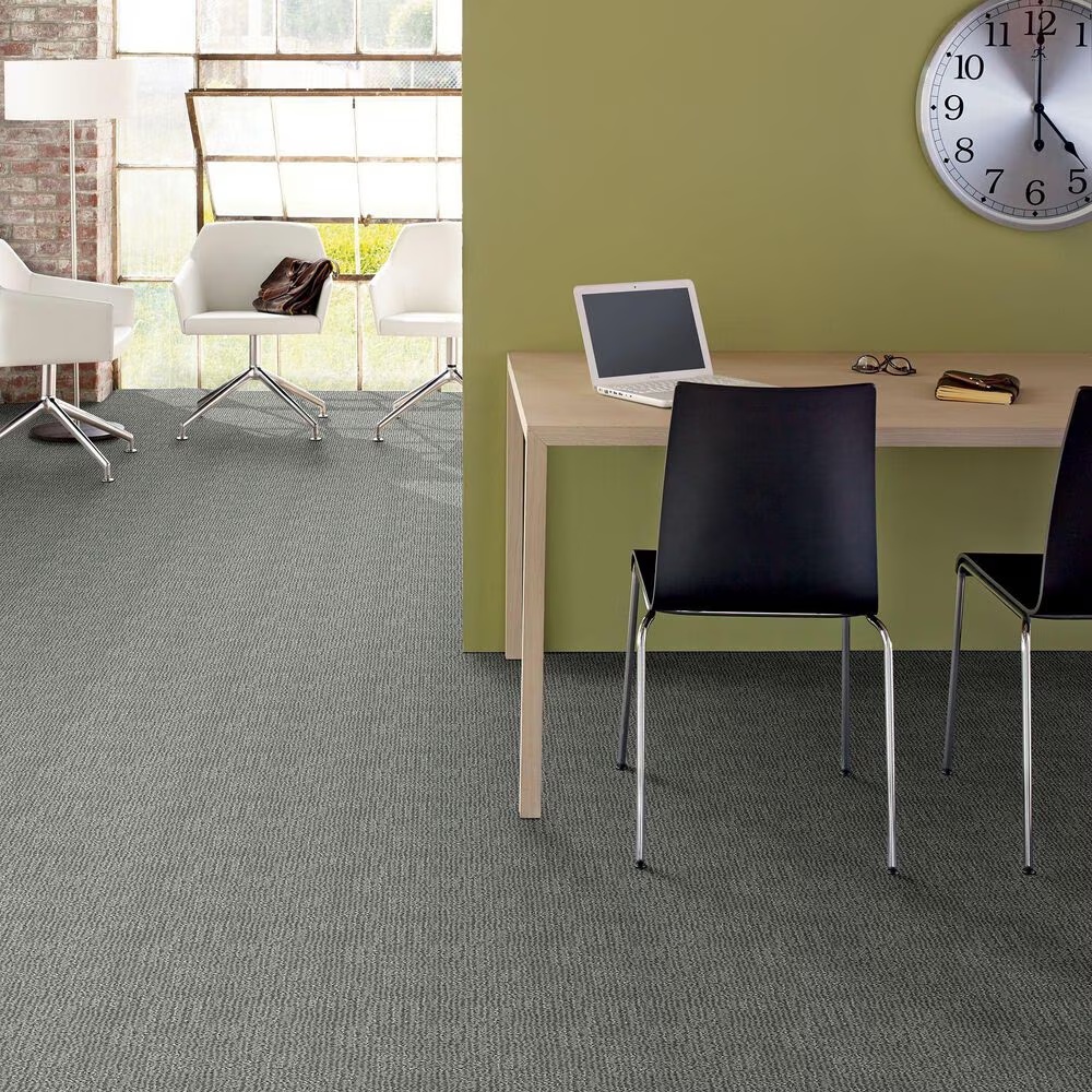 46605-anderson-tuftex-diego-carpet-in-swept-away-1.jpg