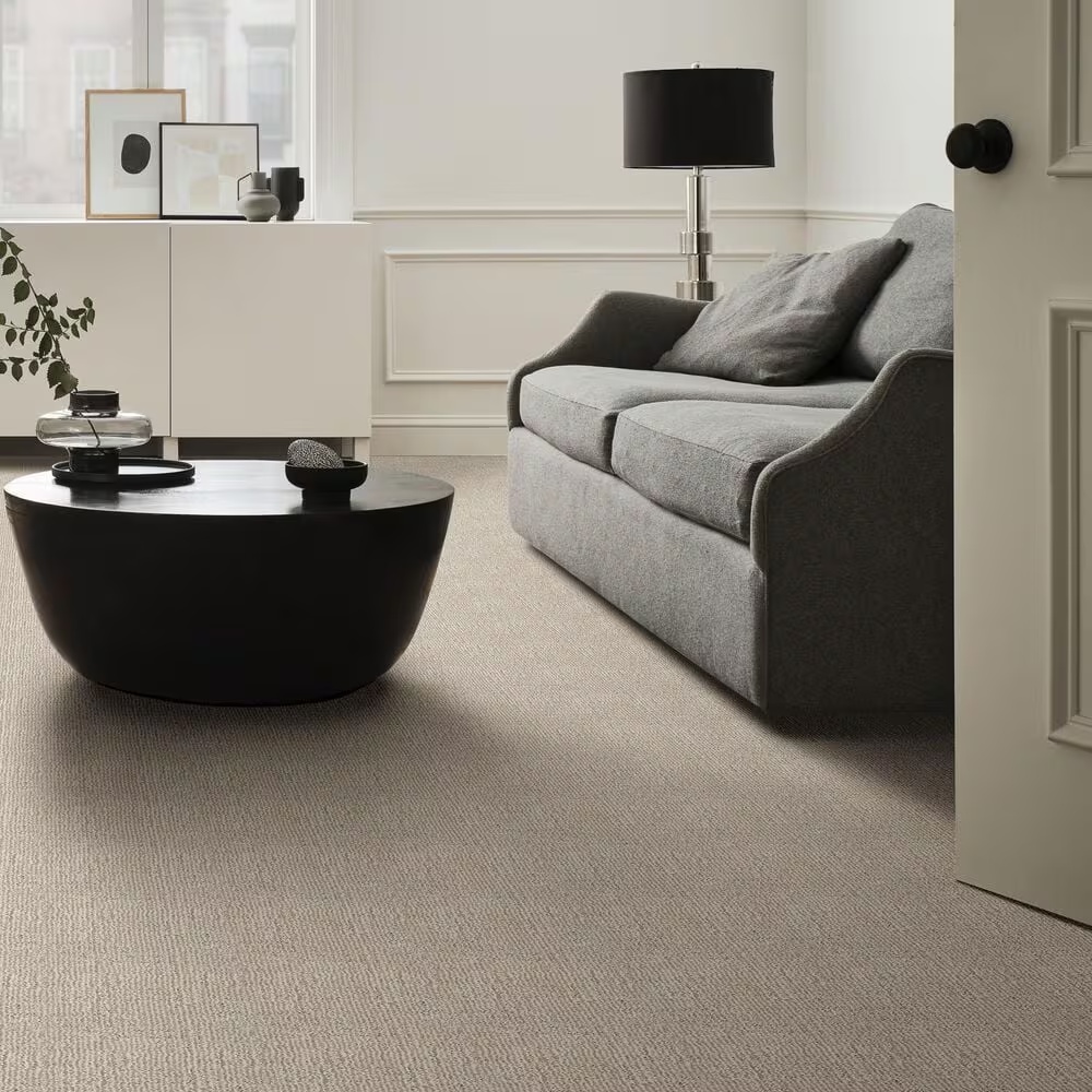 46608-anderson-tuftex-diego-carpet-in-cocoa-sand-1.jpg