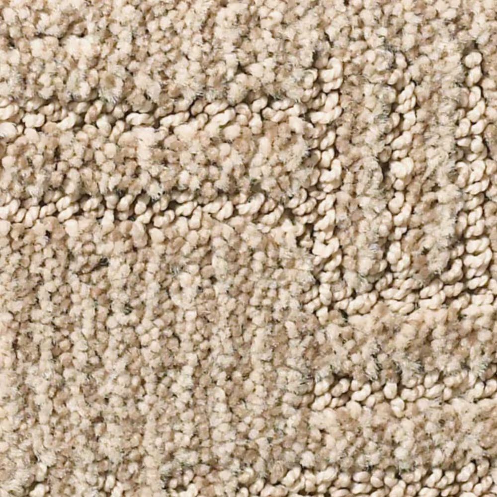 Anderson Tuftex Diego Carpet in Twilight Gold