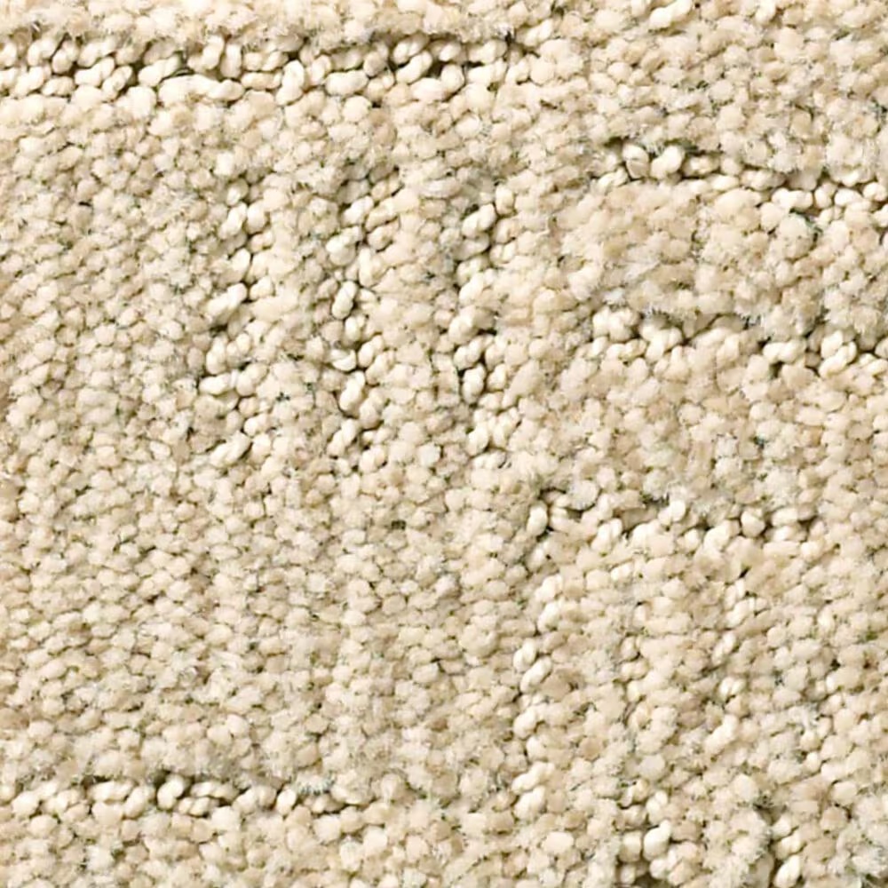 Anderson Tuftex Diego Carpet in Parchment