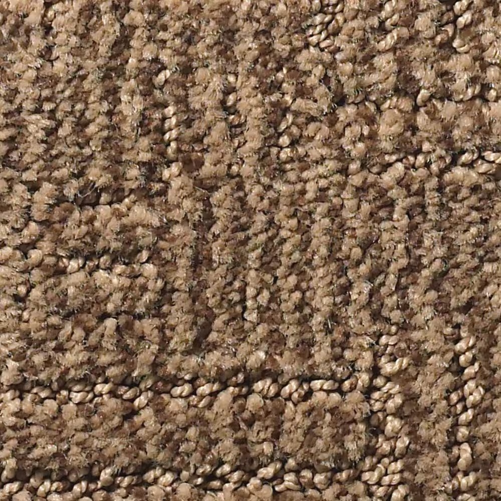 Anderson Tuftex Diego Carpet in Desert Beach