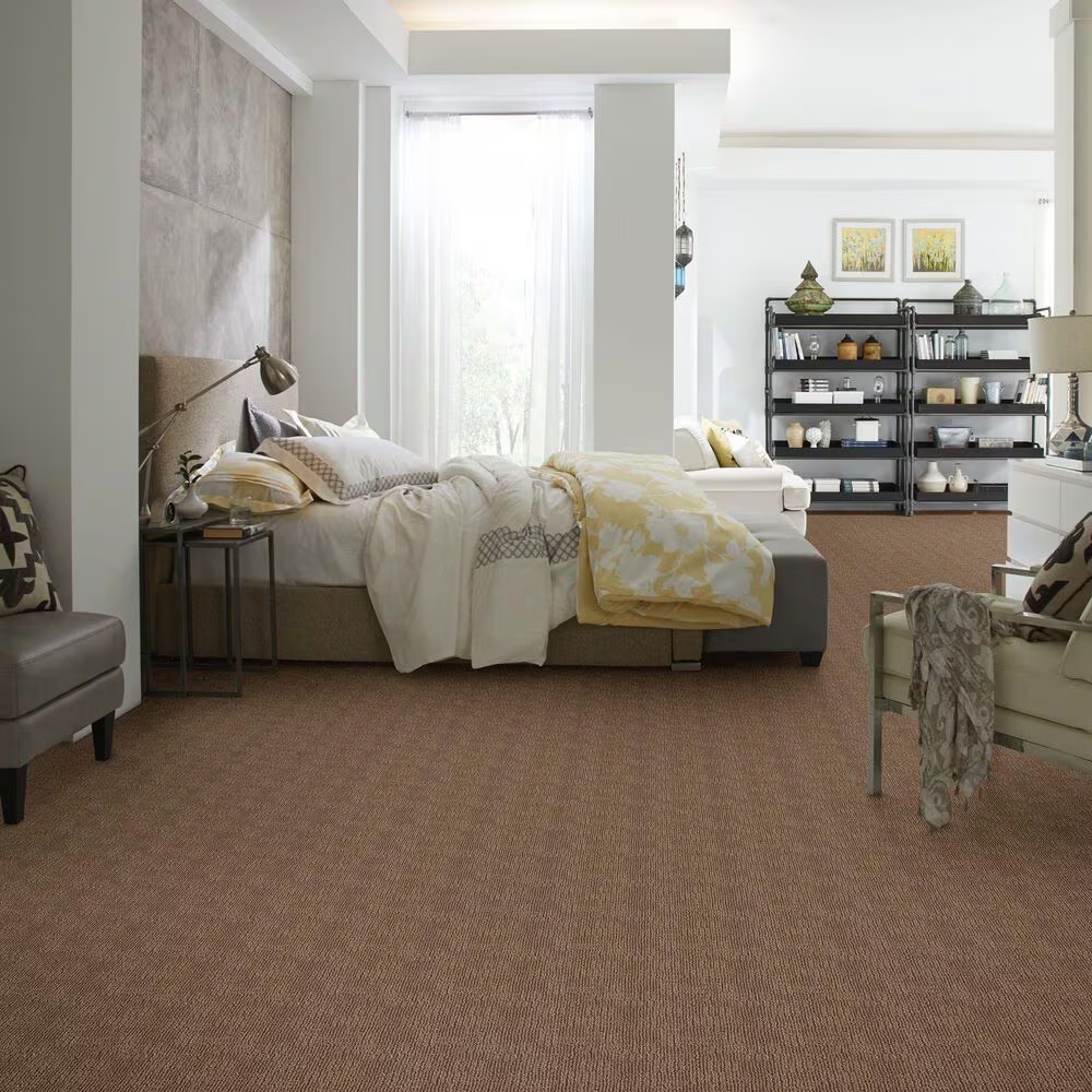 46611-anderson-tuftex-diego-carpet-in-desert-beach-1.jpg