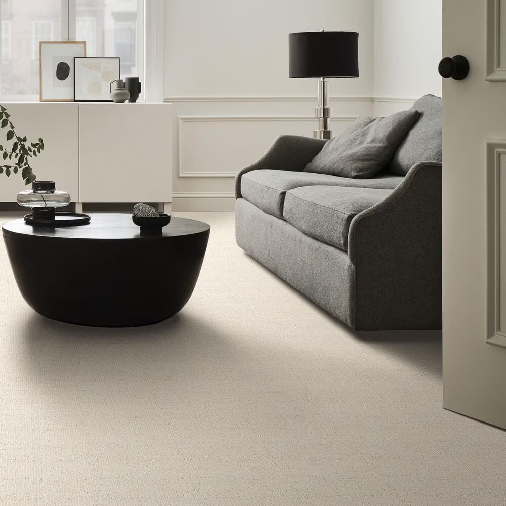 46612-anderson-tuftex-diego-carpet-in-haven-1.jpg