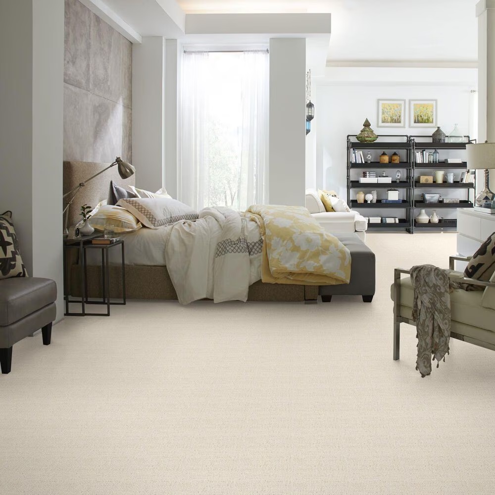 46612-anderson-tuftex-diego-carpet-in-haven-1.jpg