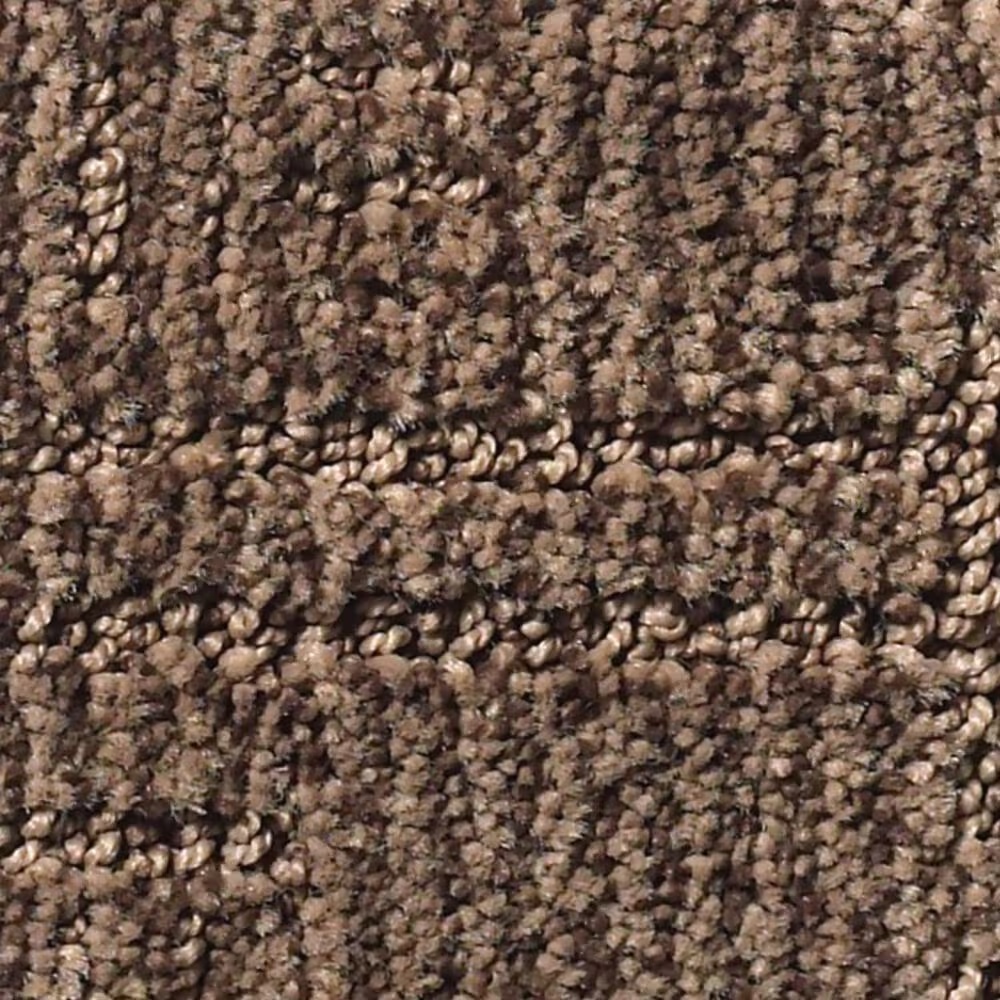Anderson Tuftex Diego Carpet in Fallen Timber