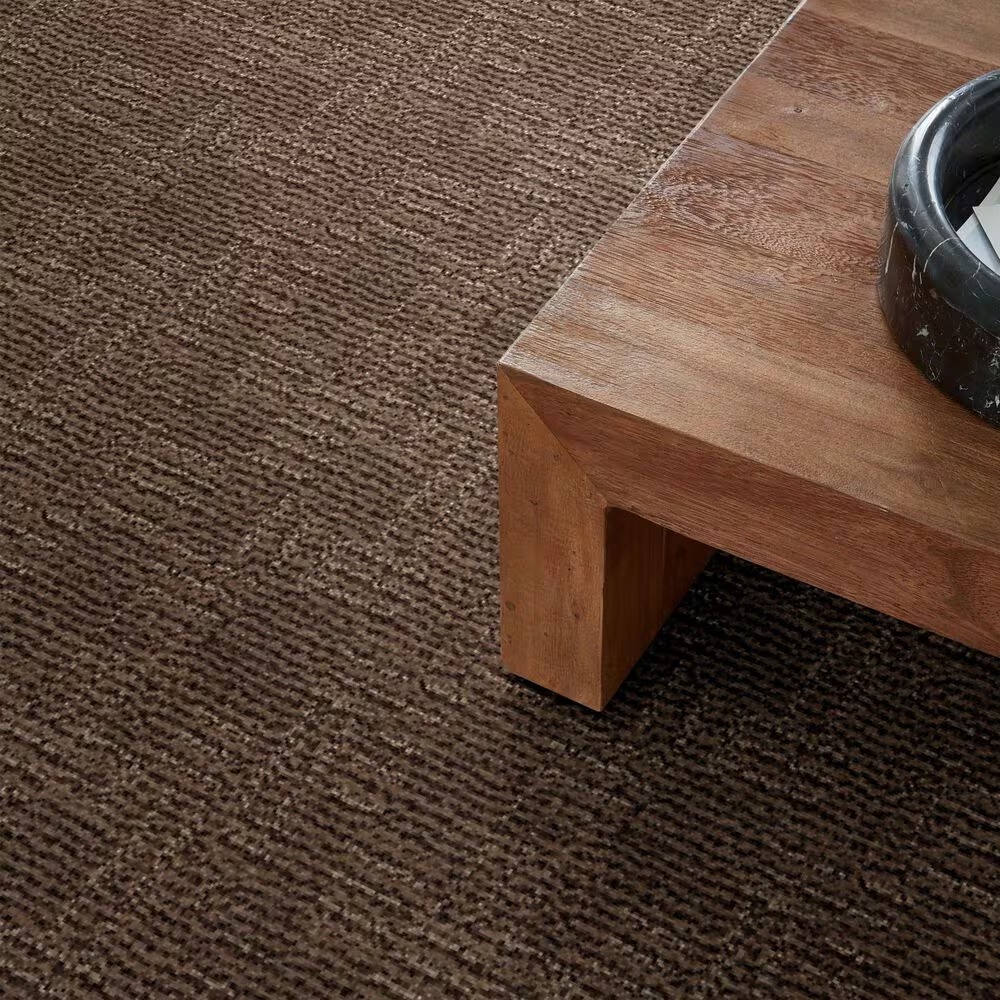 46622-anderson-tuftex-diego-carpet-in-fallen-timber-1.jpg