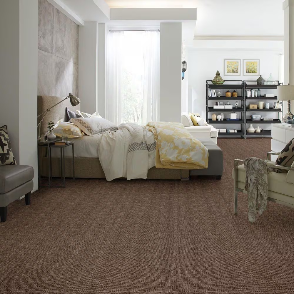 46622-anderson-tuftex-diego-carpet-in-fallen-timber-1.jpg