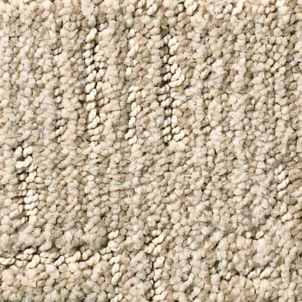 Anderson Tuftex Diego Carpet in Coastal Home