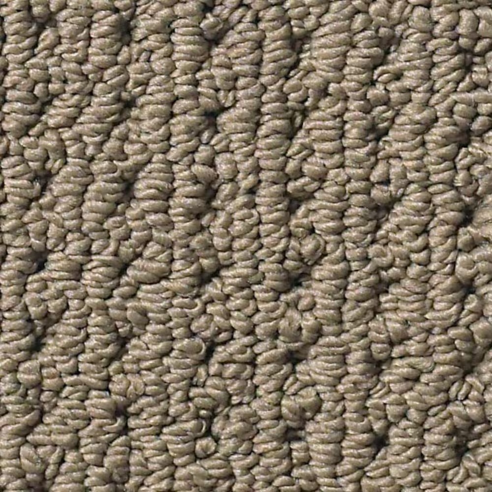 Anderson Tuftex Cabo Cove Carpet in Shingle